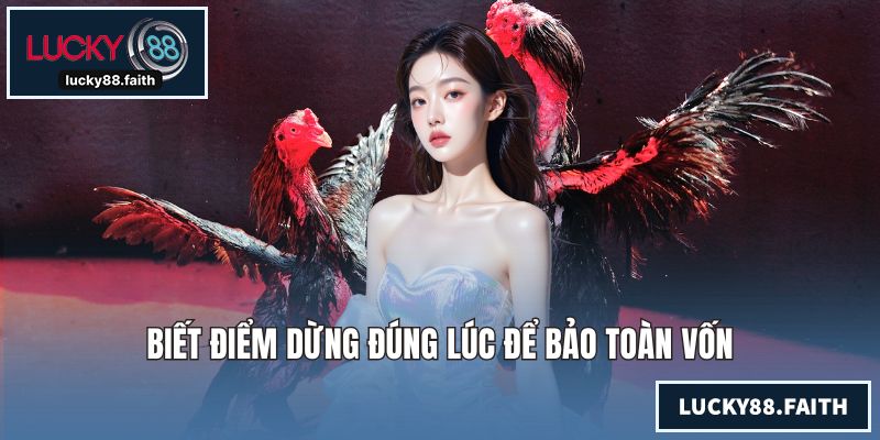 Biết điểm dừng đúng lúc để bảo toàn vốn