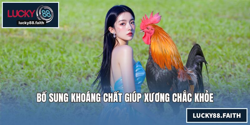 Bổ sung khoáng chất giúp xương chắc khỏe