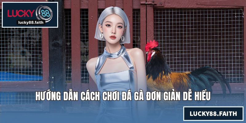 Hướng dẫn cách chơi đá gà đơn giản dễ hiểu