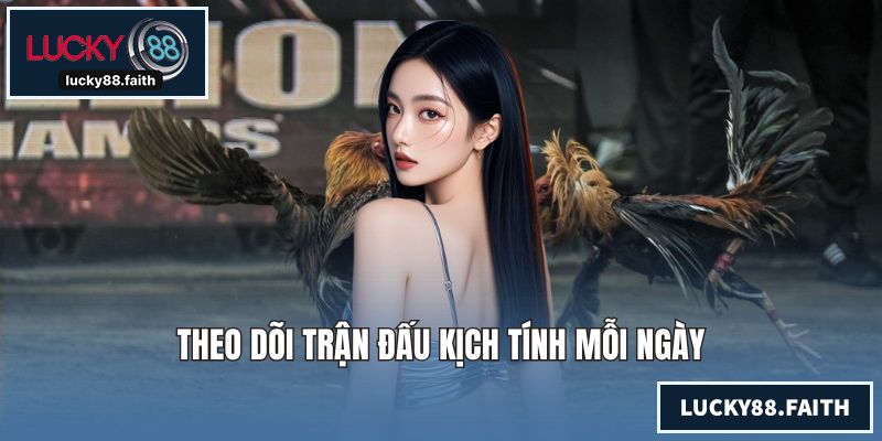 Theo dõi trận đấu kịch tính mỗi ngày
